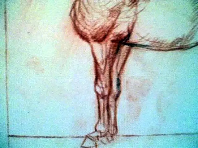 Dibujo, obra 5, de Jorge Korea