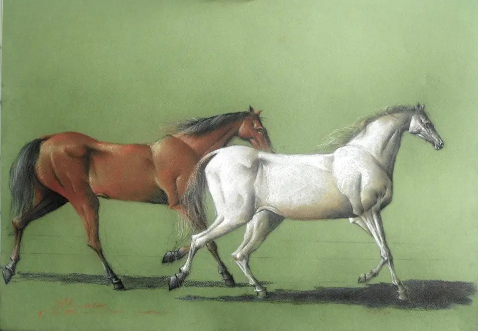 Tiza pastel, obra 7, de Jorge Korea