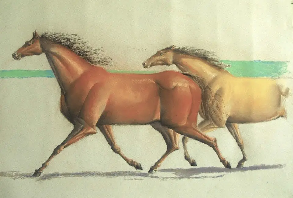 Tiza pastel, obra 9, de Jorge Korea